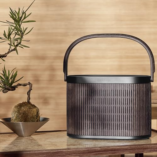 Bang & Olufsen
