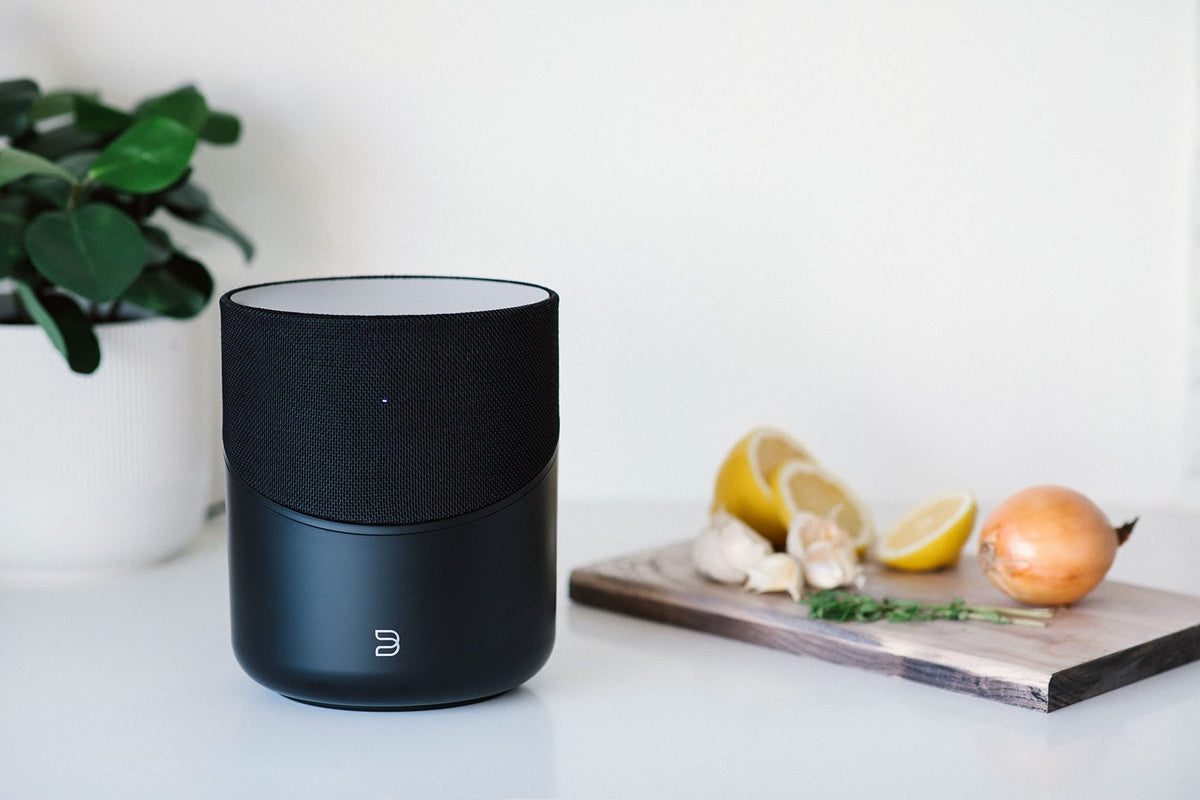 Bluesound Pulse M Omni-Hybrid Wireless Music Streaming Speaker - Black
