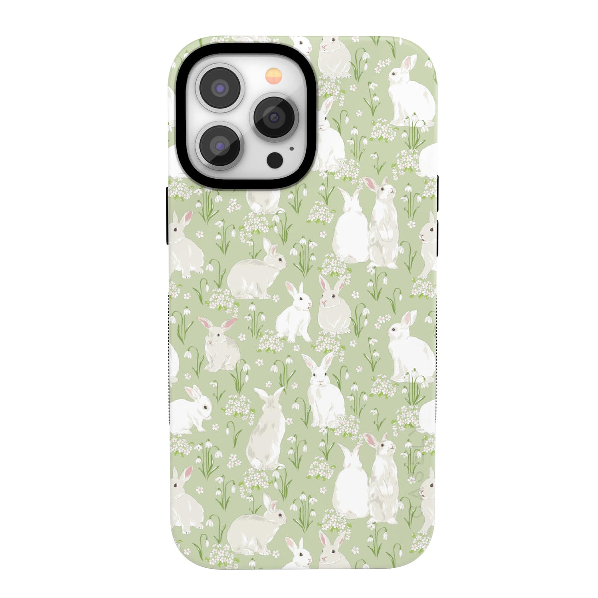 Casely Parent_Spring_Bold_20260406
