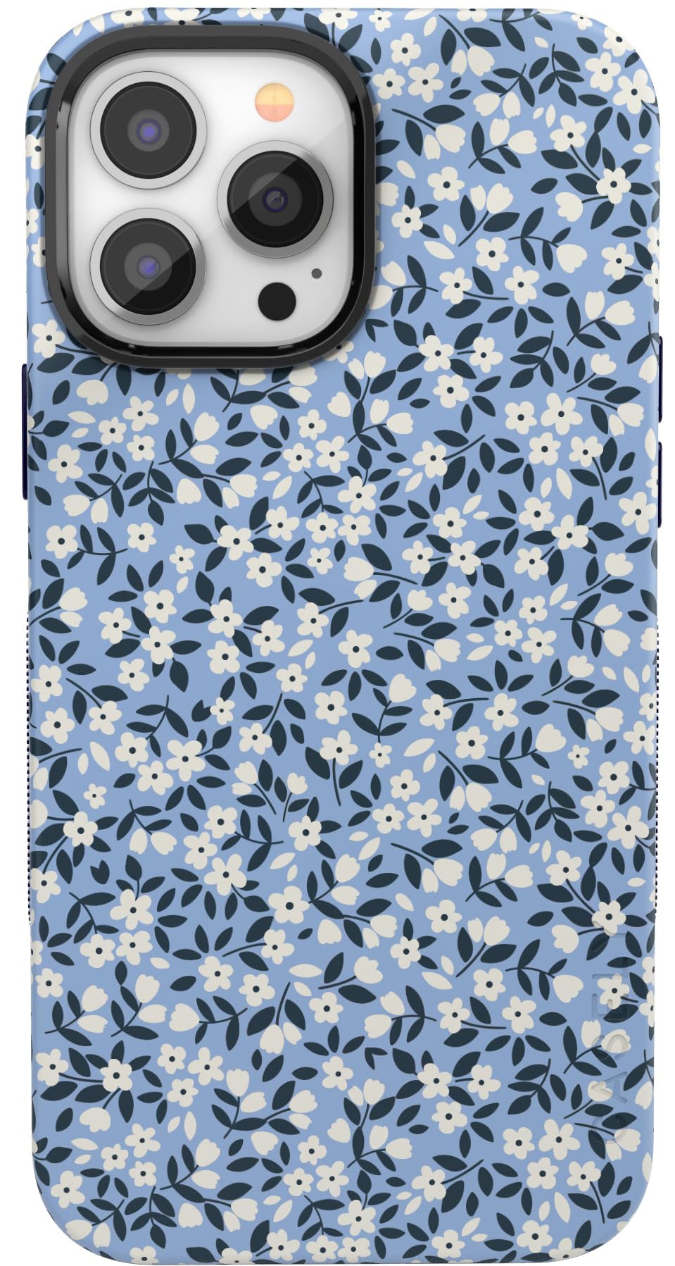 Casely Parent_Spring_Bold_20260406