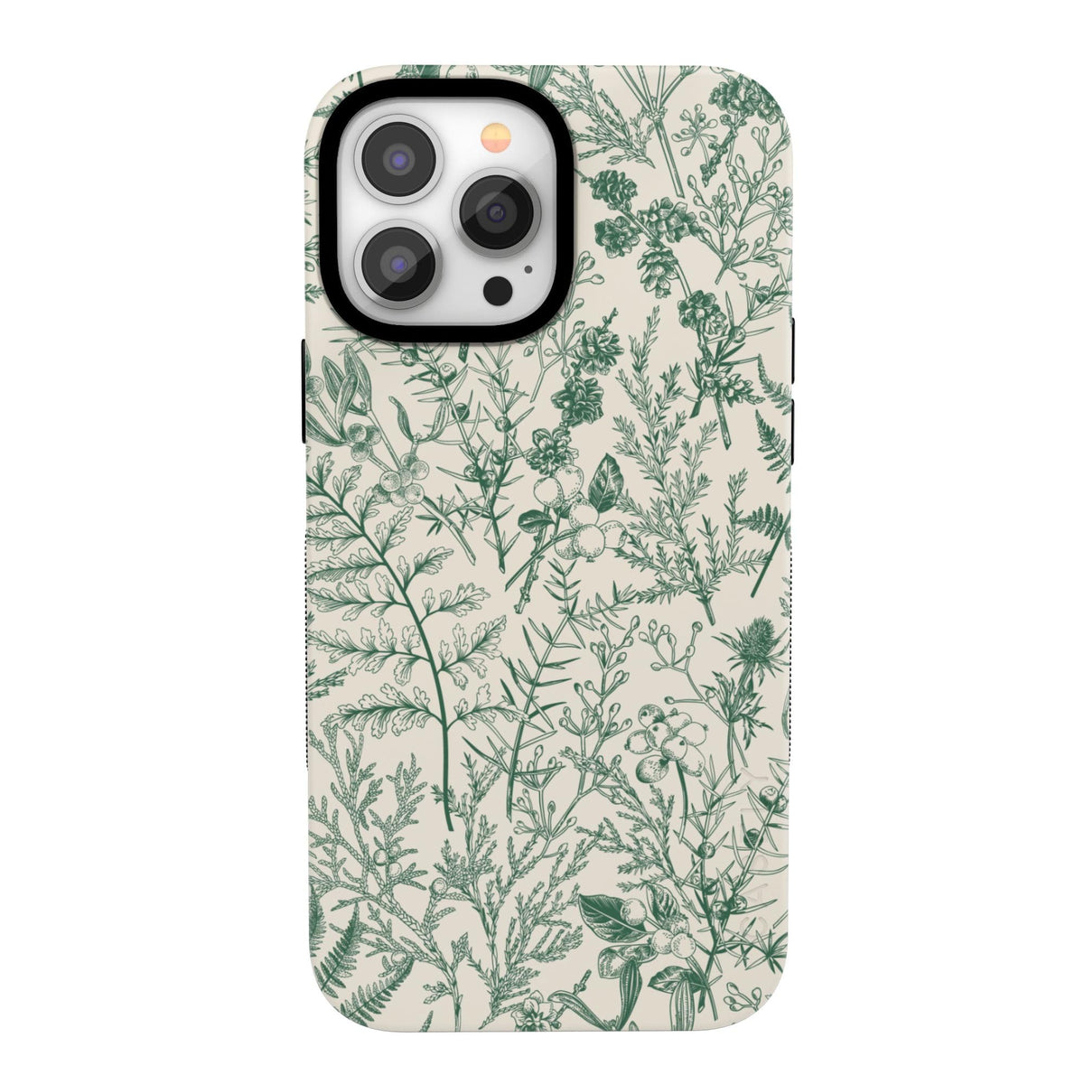 Casely Parent_Spring_Bold_20260406